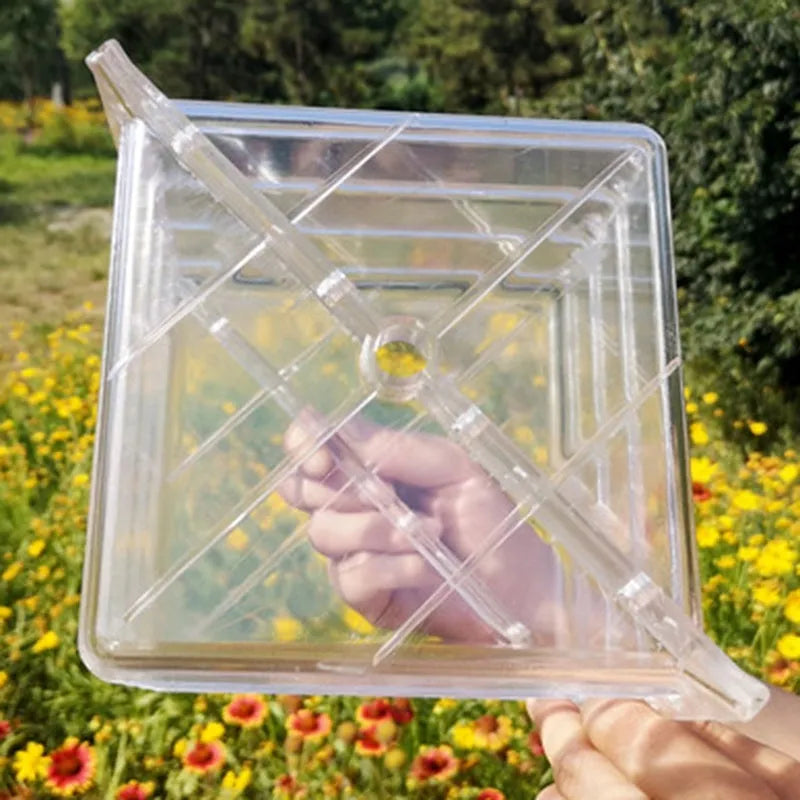 Square plastic watermelon growth mould with 13cm internal dimensions for shaping uniform fruit