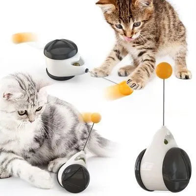 Balance swing car funny cat toy in blue plastic on floor, swinging design