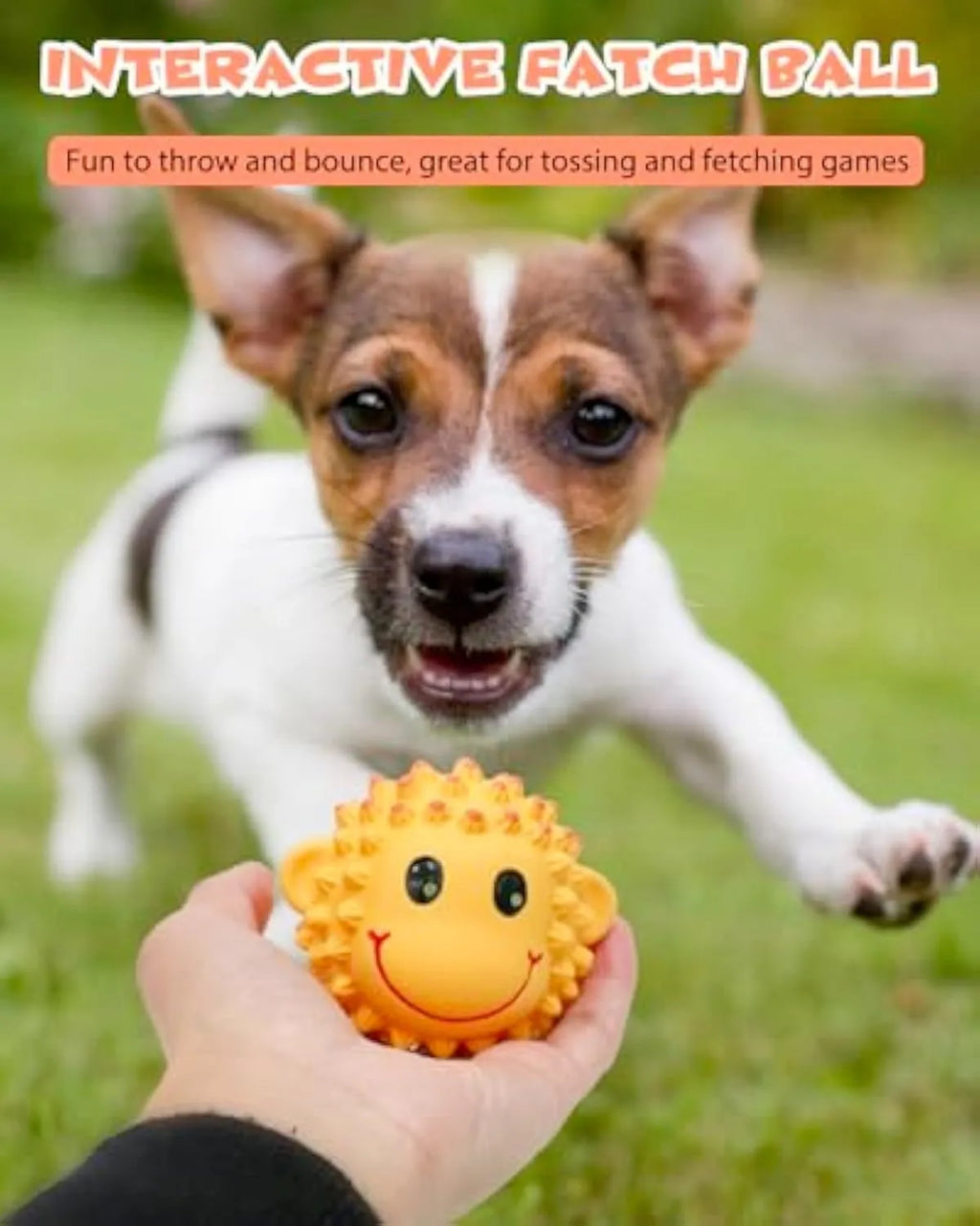 Orange and yellow spiky latex squeaky dog toy shaped like an animal ball