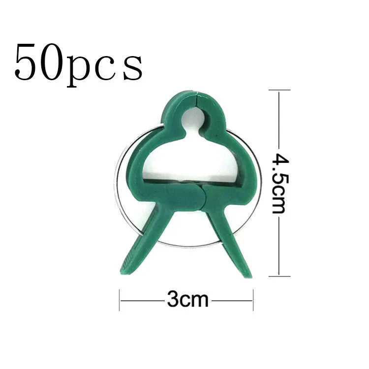 Green plastic and zinc plant fixing clips holding a tomato vine to a garden cane.