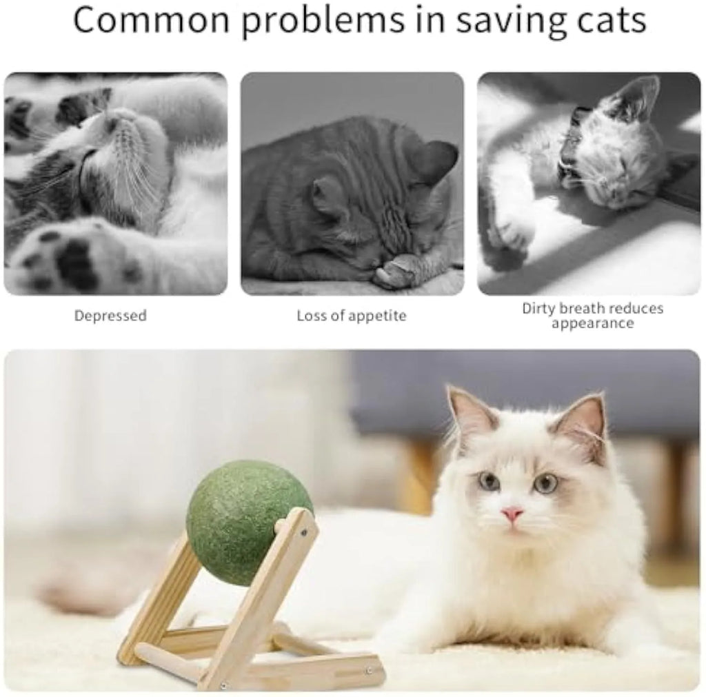 Giant green catnip ball with wooden holder for indoor cats, available in sizes L and S