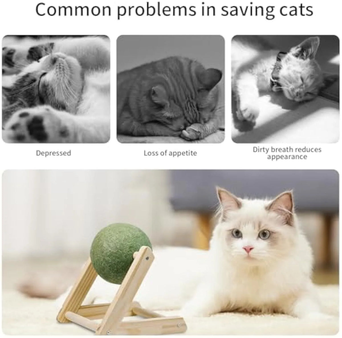 Giant green catnip ball with wooden holder for indoor cats, available in sizes L and S