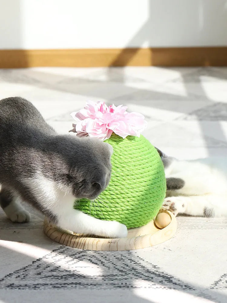 PP cactus shape cat grinding paw toy for vocal play, shown in Cat head type, Circular, or Rotary table type colour option.