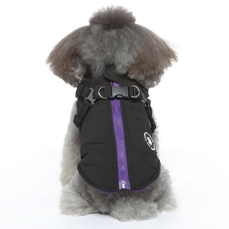 Chest strap dog winter coat in blue colour with cotton-padded insulation and secure fastening