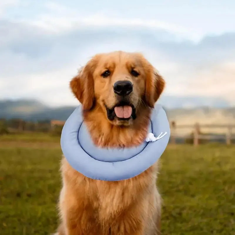 Blue waterproof Elizabethan recovery collar for dogs and cats with adjustable fastening