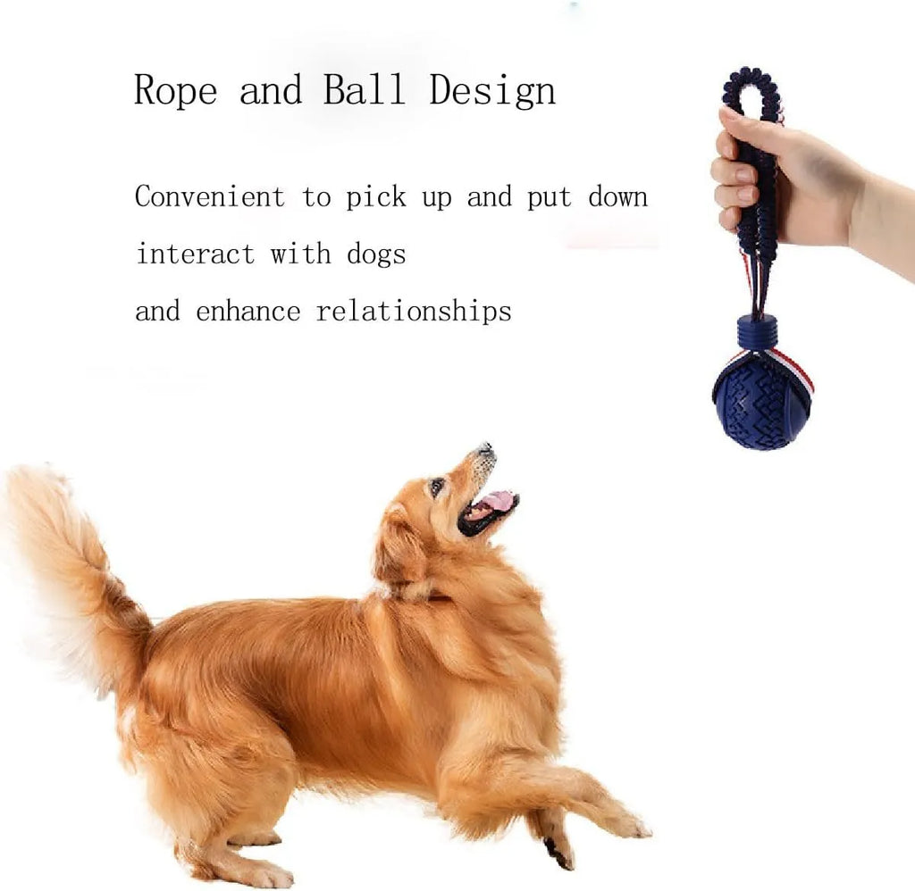 Blue dog ball with rope toy showing textured rubber surface and rope attachment