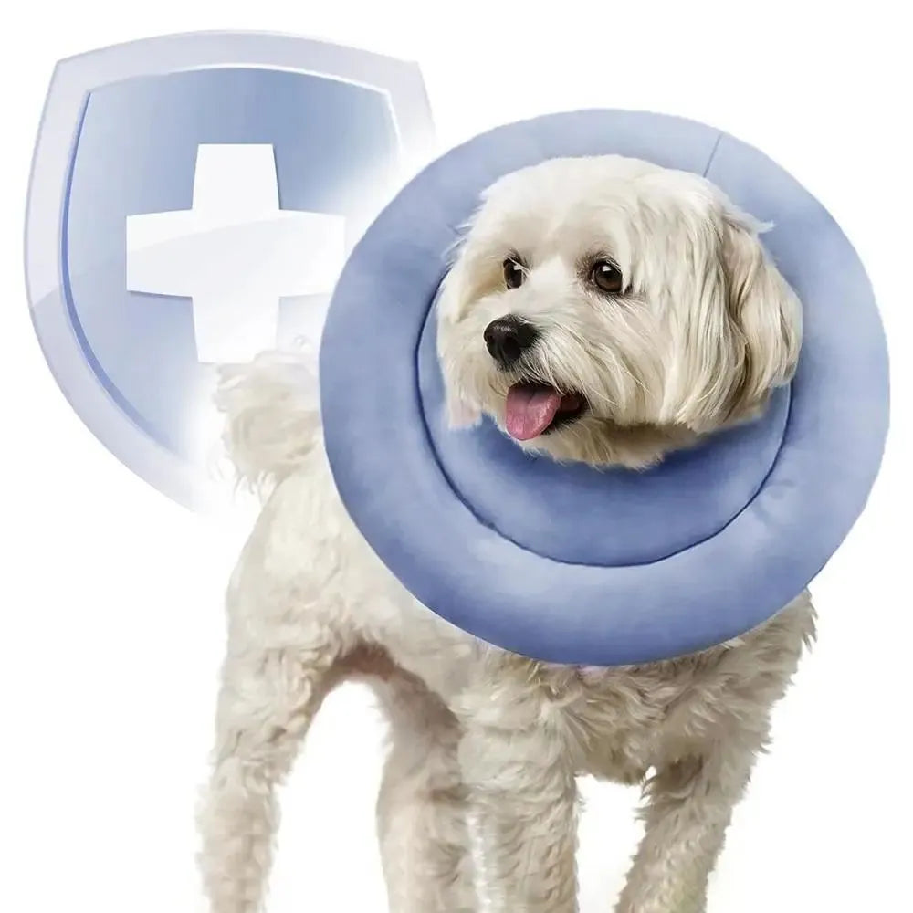 Blue waterproof Elizabethan recovery collar for dogs and cats with adjustable fastening