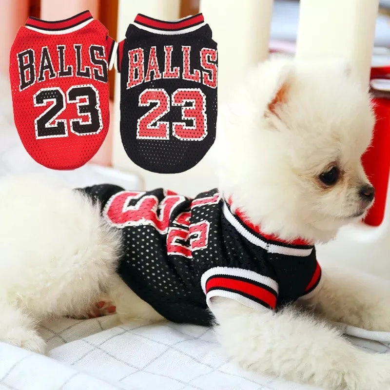 Dog wearing black polyester fashion sweatshirt vest, casual pet clothing