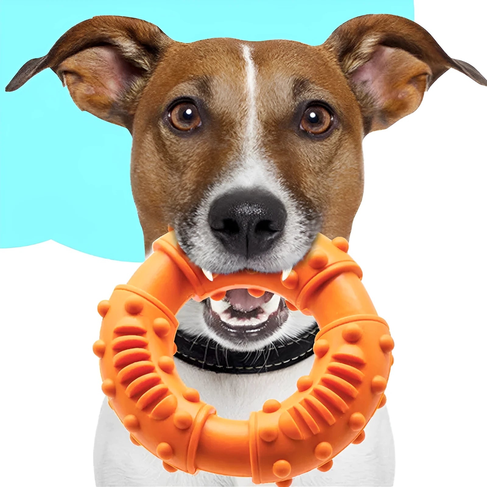 Blue, orange, and red bouncy hollow dog fetching stick toy for catch and chew games