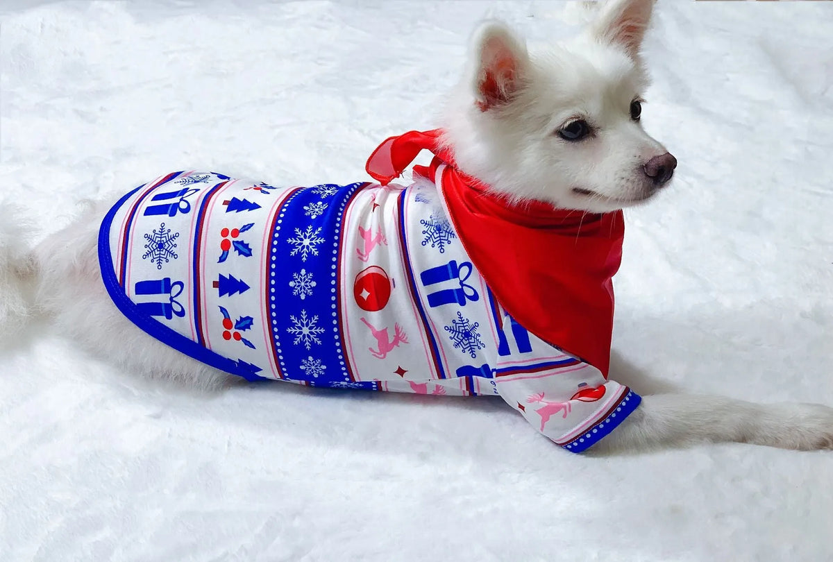 Matching family Christmas pyjamas set with letter print top and plaid pants in adult, child, baby, and dog sizes