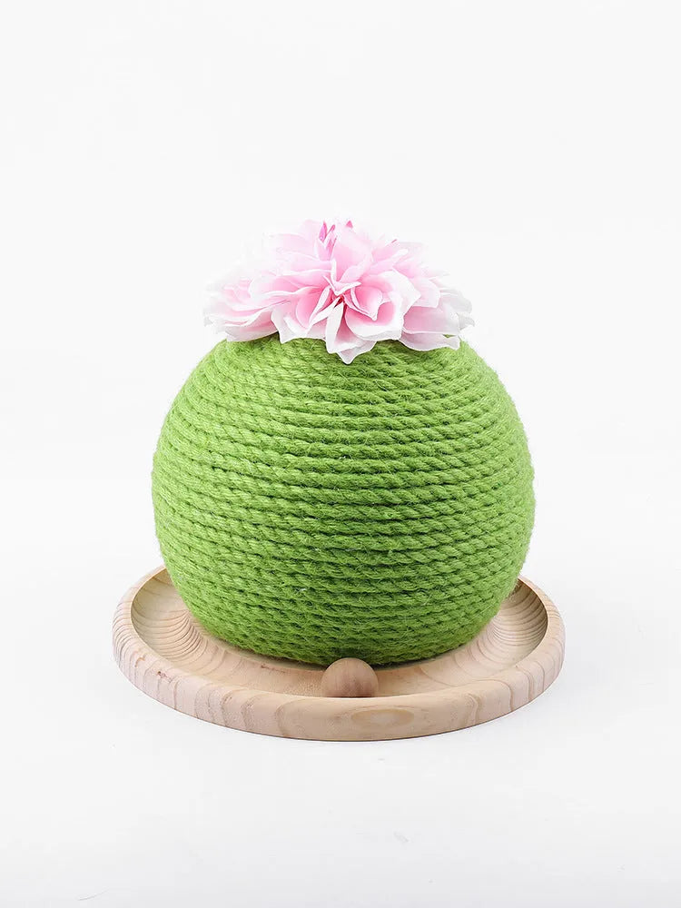 PP cactus shape cat grinding paw toy for vocal play, shown in Cat head type, Circular, or Rotary table type colour option.
