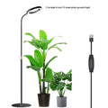 Pearl White floor-standing angel ring LED grow light with retractable pole next to indoor plants.