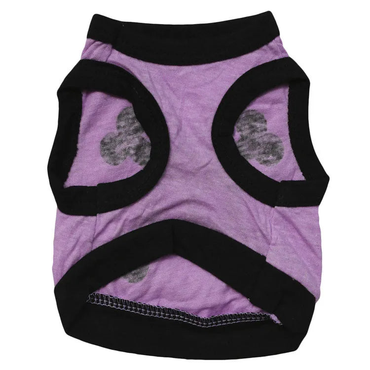 Blue Halloween skull bones pattern dog vest on a small dog