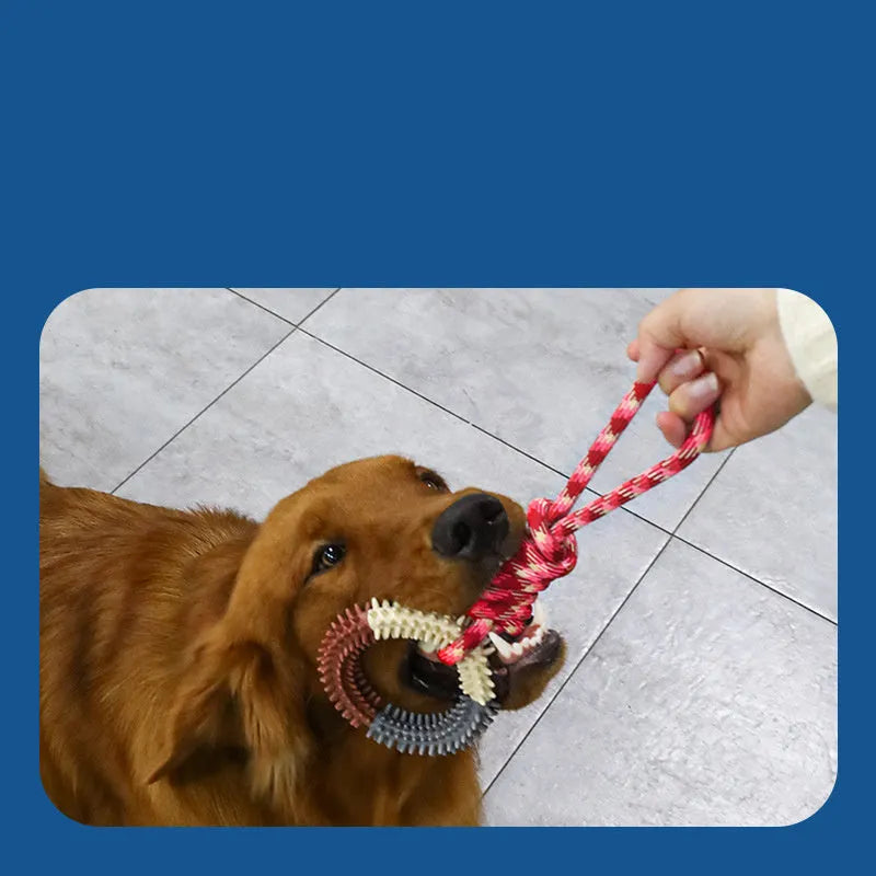 Blue braided rope dog toy with knot design measuring 43cm in length