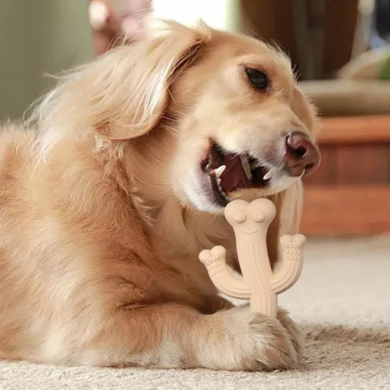 Cactus-shaped dog chew toy in bamboo fibre and rubber showing textured surface and cactus silhouette