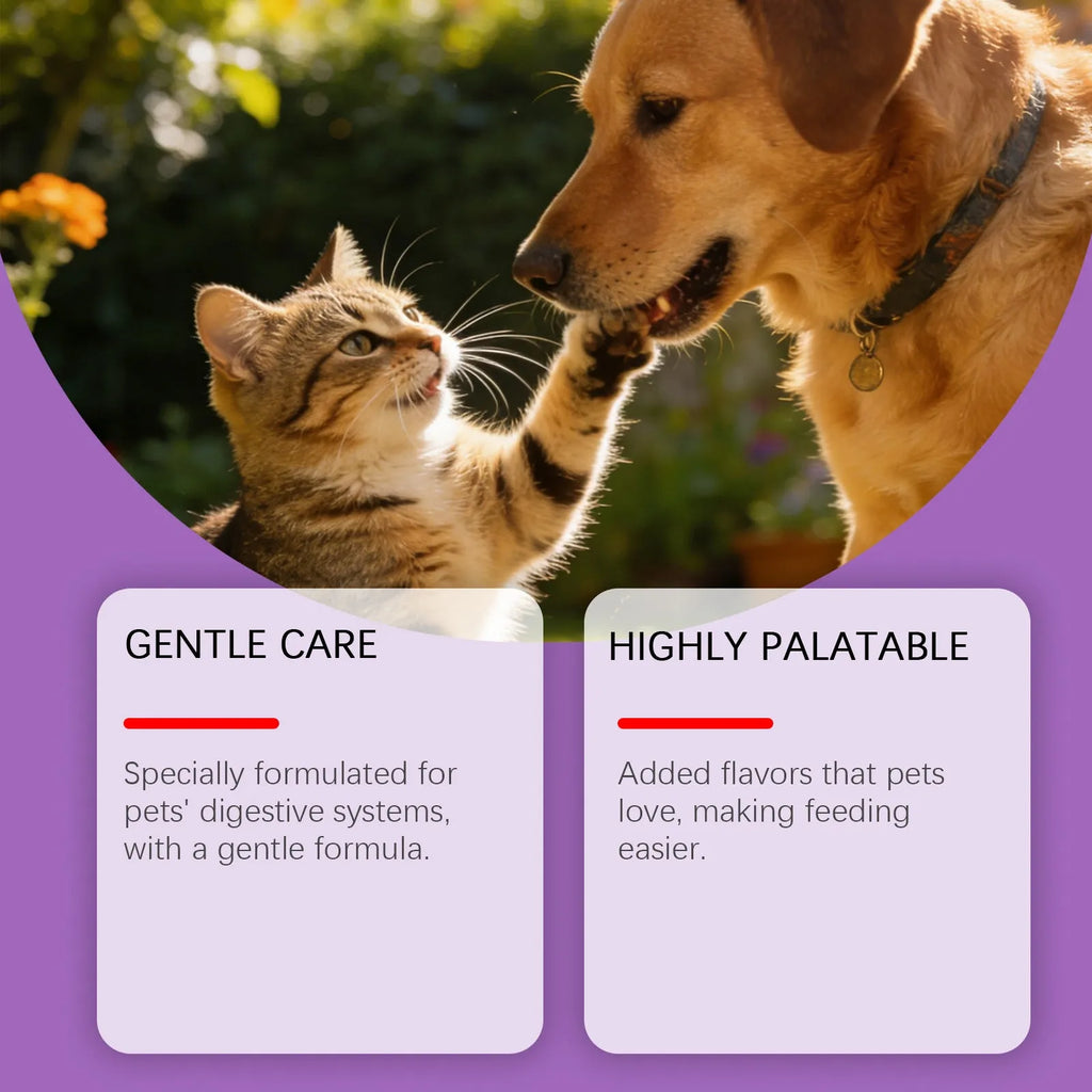 200g probiotic powder for pet intestinal care with Bacillus subtilis, fructooligosaccharides, glucose and chicken powder