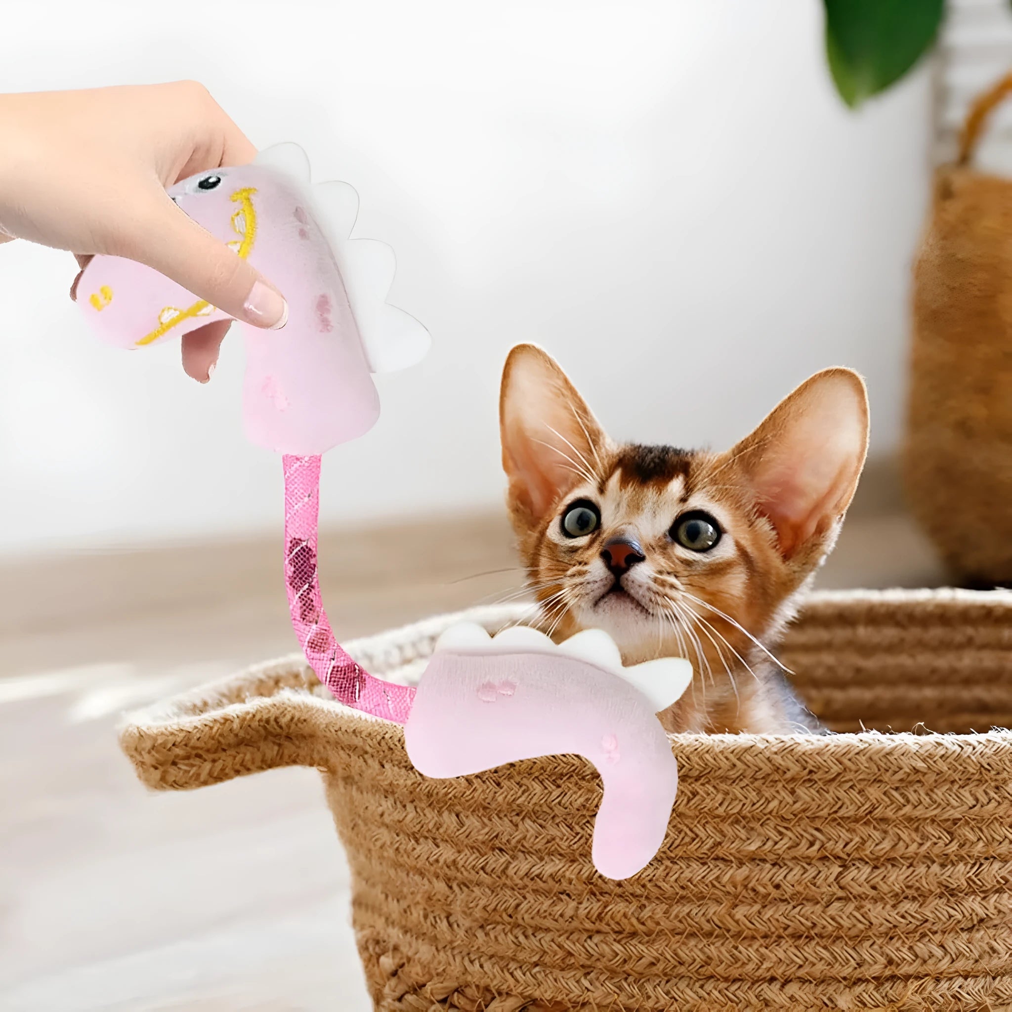 Bundle of four cat toys including chew toys, rope toys with springs, and kicker toys for indoor cats