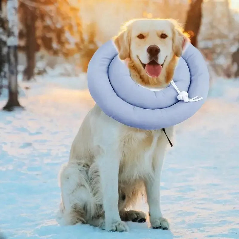 Blue waterproof Elizabethan recovery collar for dogs and cats with adjustable fastening