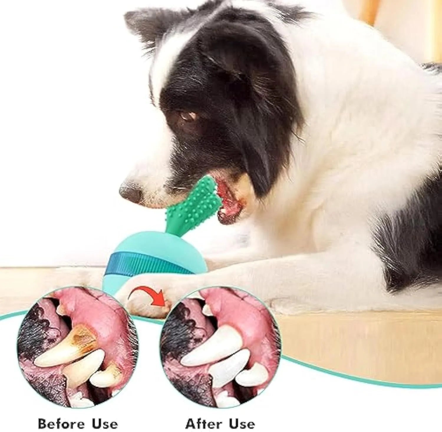 Blue and green durable rubber interactive treat dispensing dog puzzle ball for medium large breeds