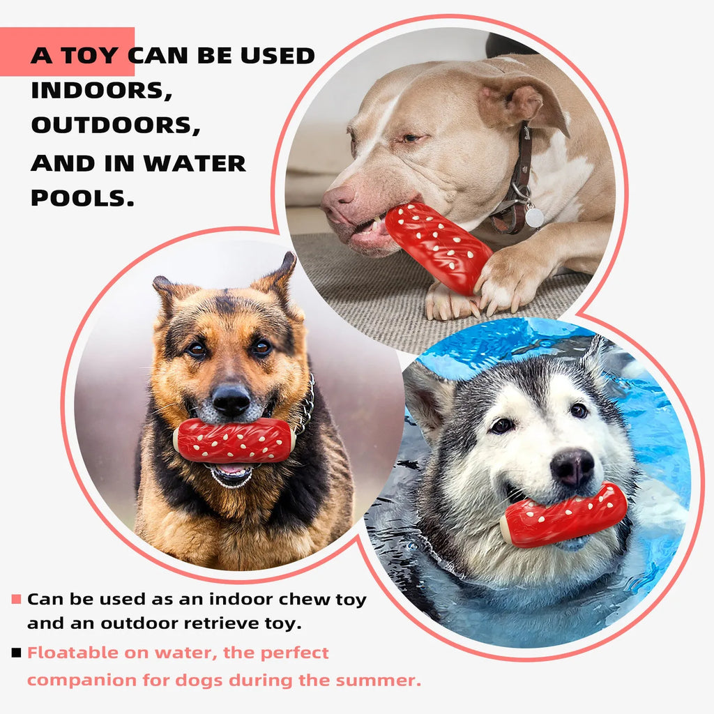 Primary colour plastic molar rod dog chew toy and treat dispenser.