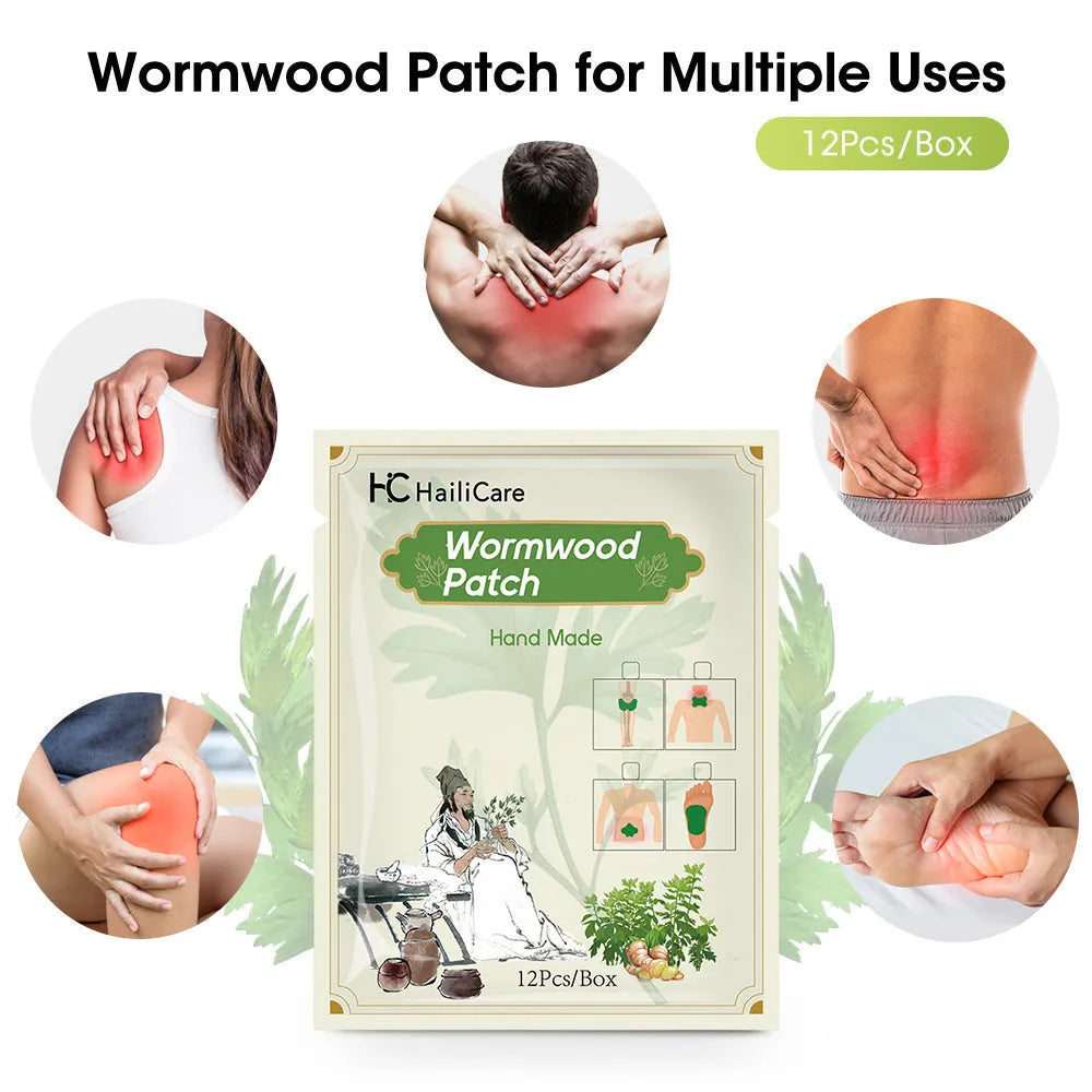Assorted Chinese Mugwort herbal patches for knee, back, neck and foot in a sealed bag.