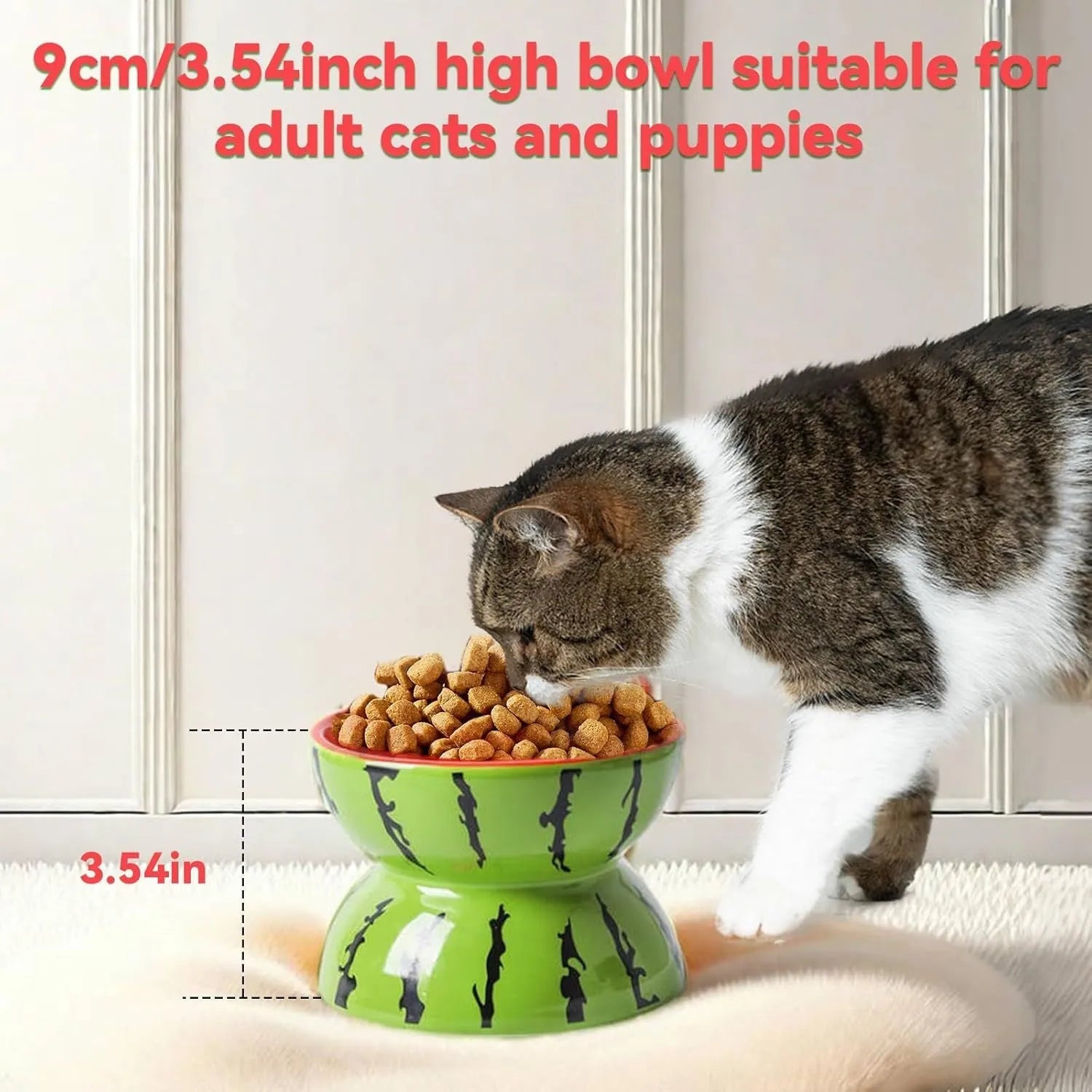 Ceramic raised cat bowl with tilted design in orange colour, showing slip-resistant base and elevated feeding height