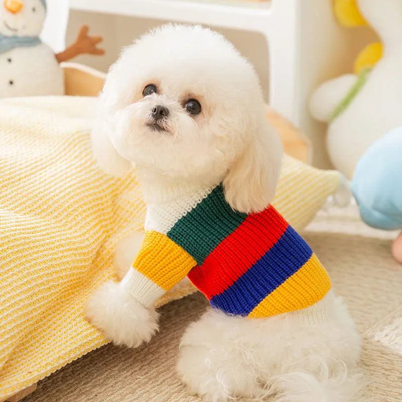 White rainbow striped knitted pet sweater for cats and dogs, soft core yarn, sizes XS to XL