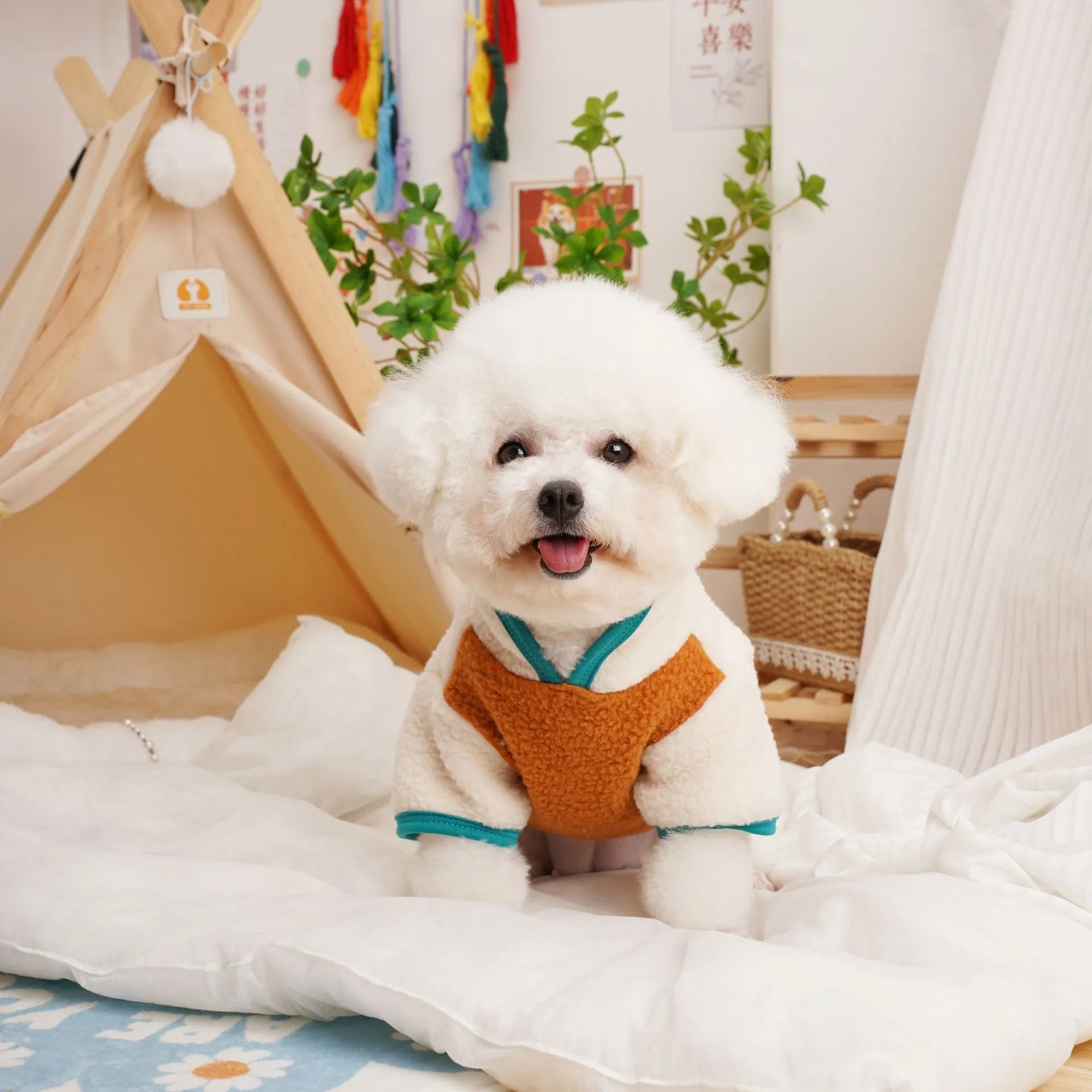 Lambswool pet sweatshirt in caramel colour on a dog, showing casual autumn winter clothing