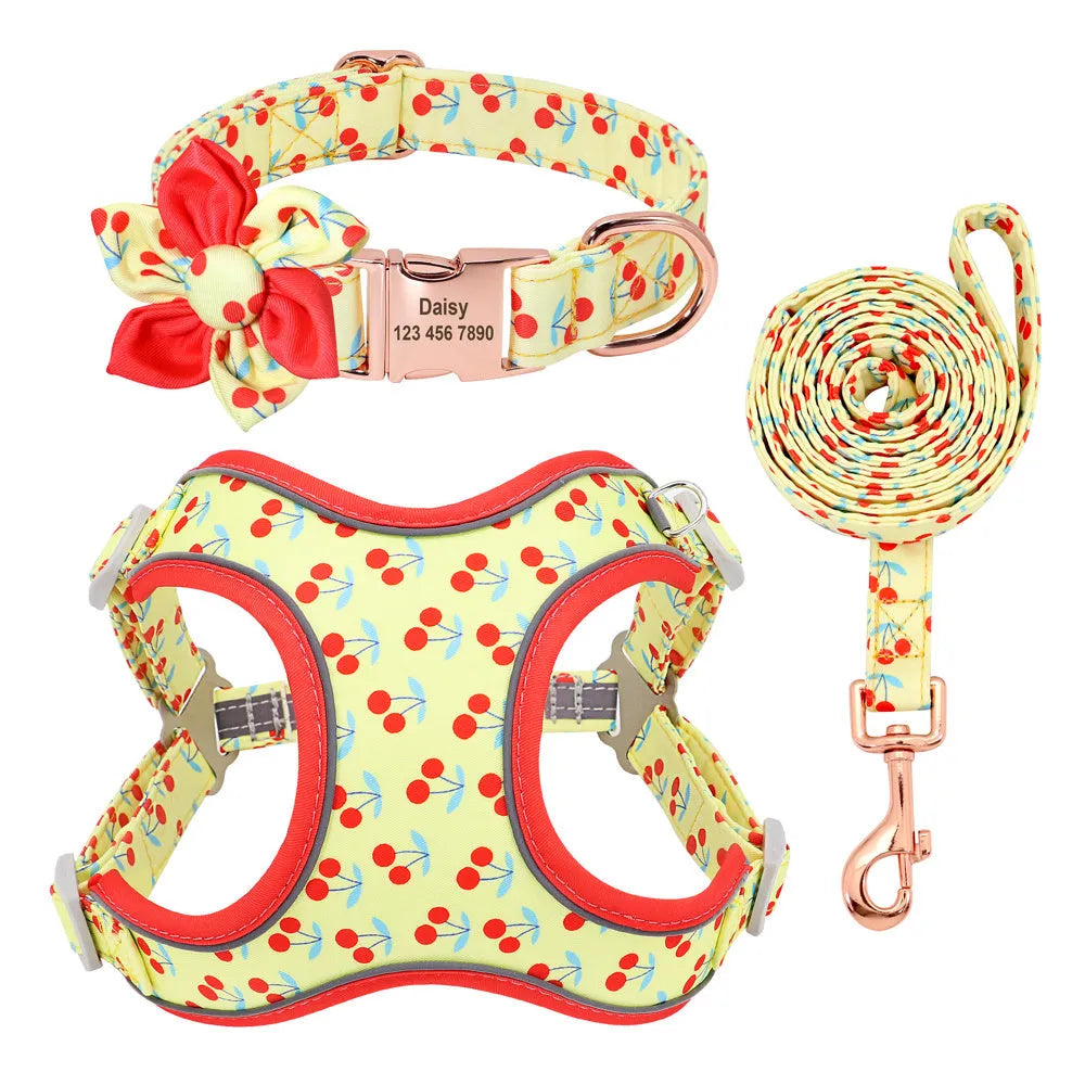 Small dog collar and lead set in polyester with collar, tow rope and strap, adjustable, blue green red yellow, sizes S M L
