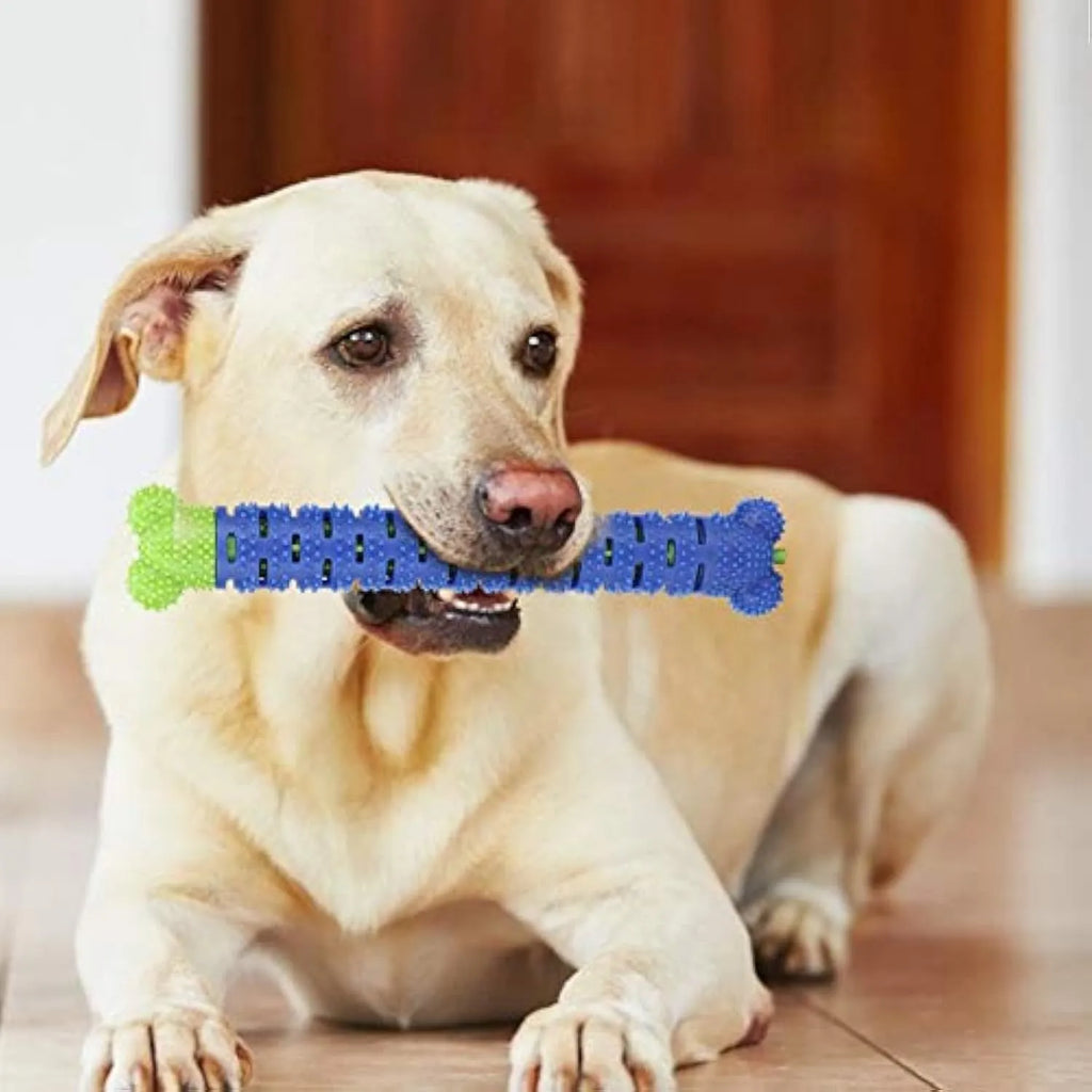 Blue and green silicone dog dental toy with brush head texture, nodules, and an integrated rope for chewing and play.