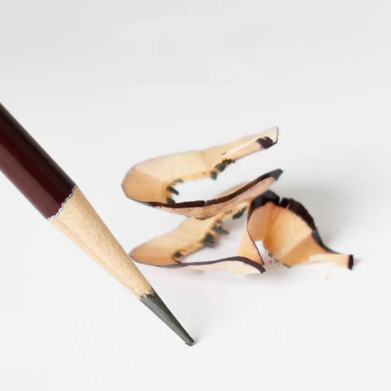 Professional charcoal pencil art set showing multiple hardness grades from 2H to EE with rolling charcoal and drawing wire components