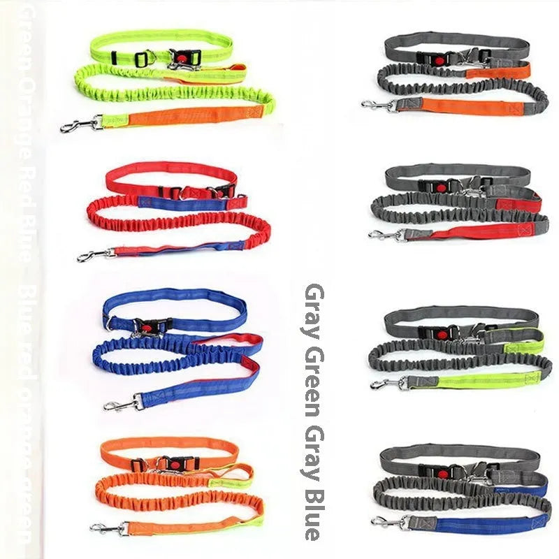 Grey and green hands-free running dog leash with reflective strips and elastic sling design