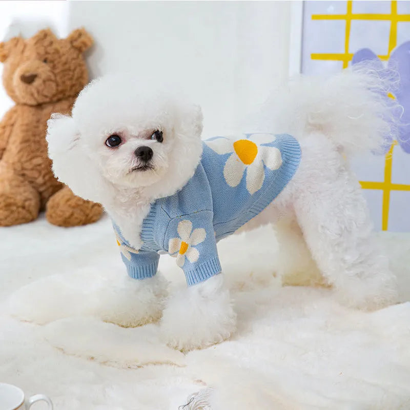 Small dog wearing blue polyester autumn winter clothing with weight-based sizing guide