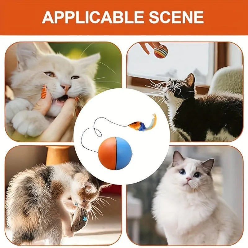 Interactive cat toy ball with plush mouse design measuring 8.5cm cube in grey and orange colour options