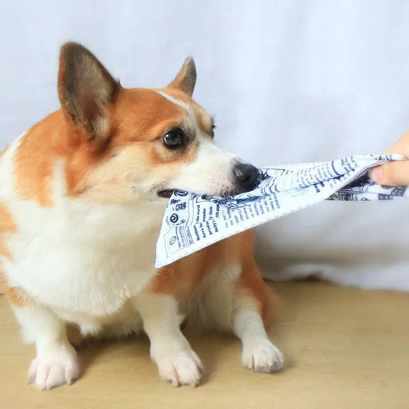 Realistic newspaper texture dog toy that produces squeaking sounds during play