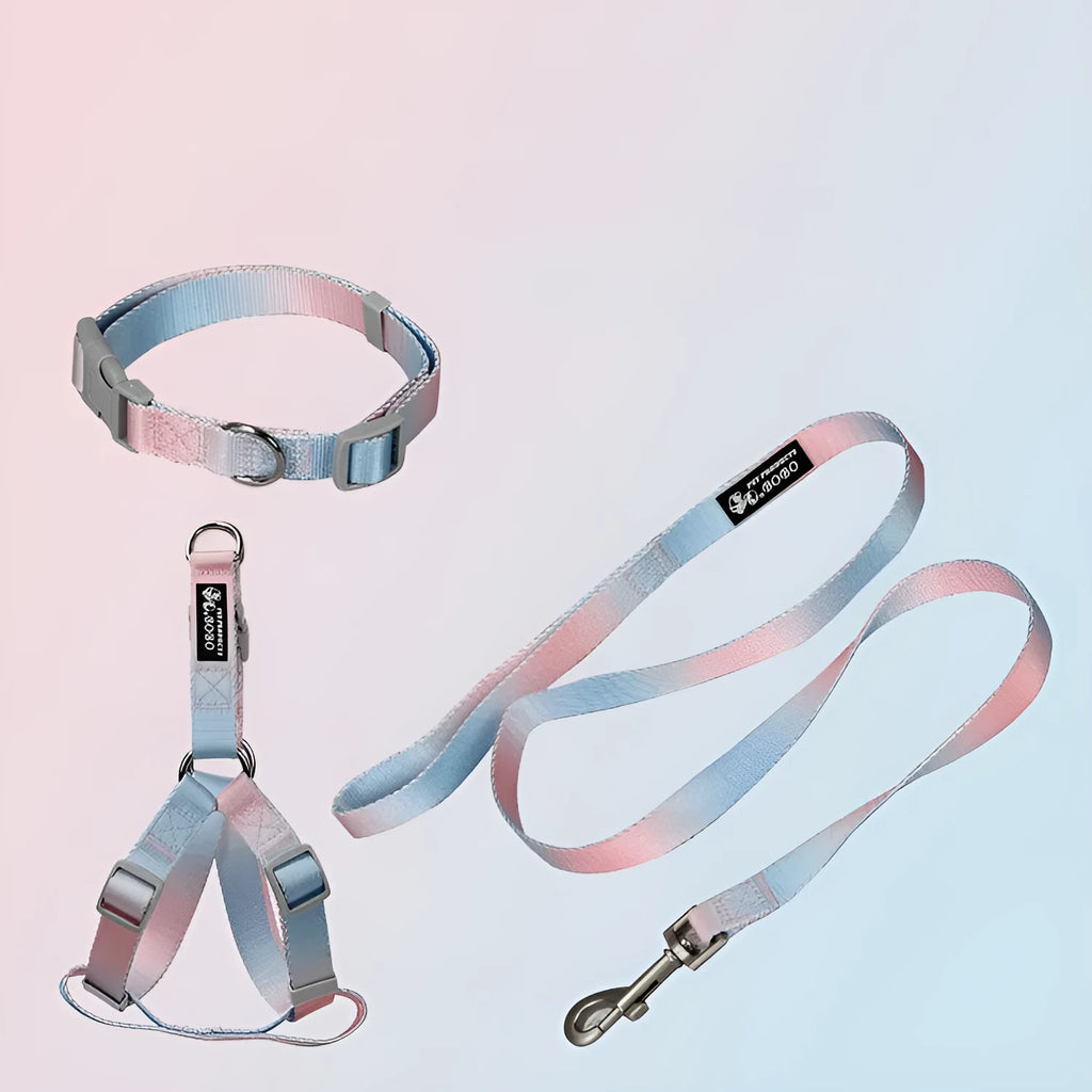 Gradient colour nylon dog lead and adjustable chest harness set in pink and yellow