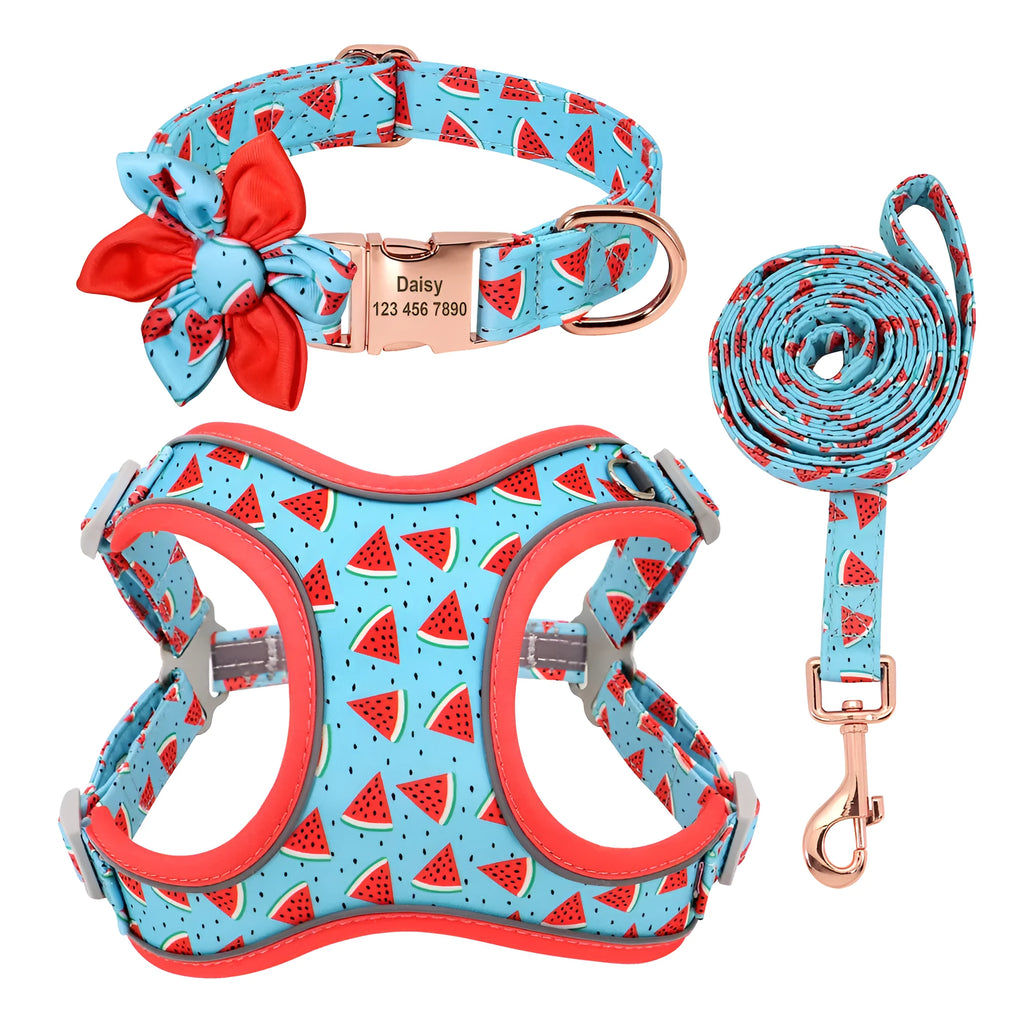 Small dog collar and lead set in polyester with collar, tow rope and strap, adjustable, blue green red yellow, sizes S M L