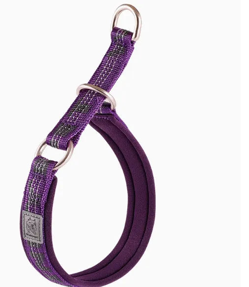 Dog P chain walking collar in nylon webbing with aluminium alloy hardware, available in multiple sizes and colours
