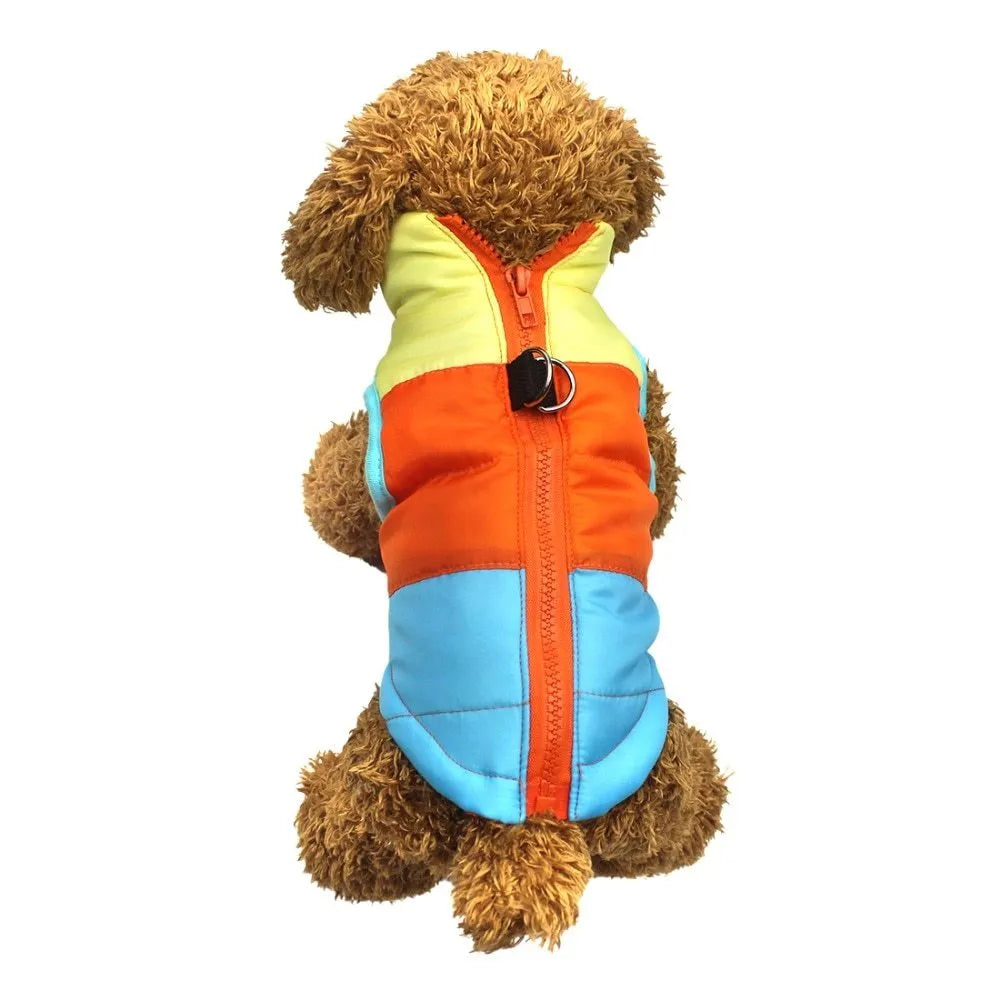 Autumn winter puppy jacket vest with traction buckle in striped pattern for small dogs, available in multiple colours