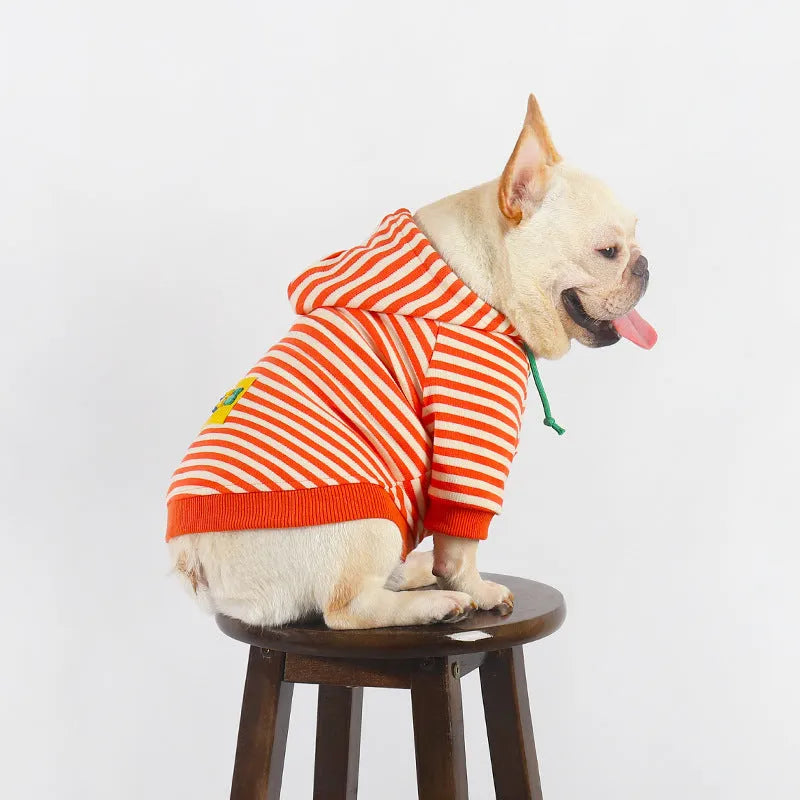 Orange cotton hooded dog sweater on a mannequin, Japanese Korean style