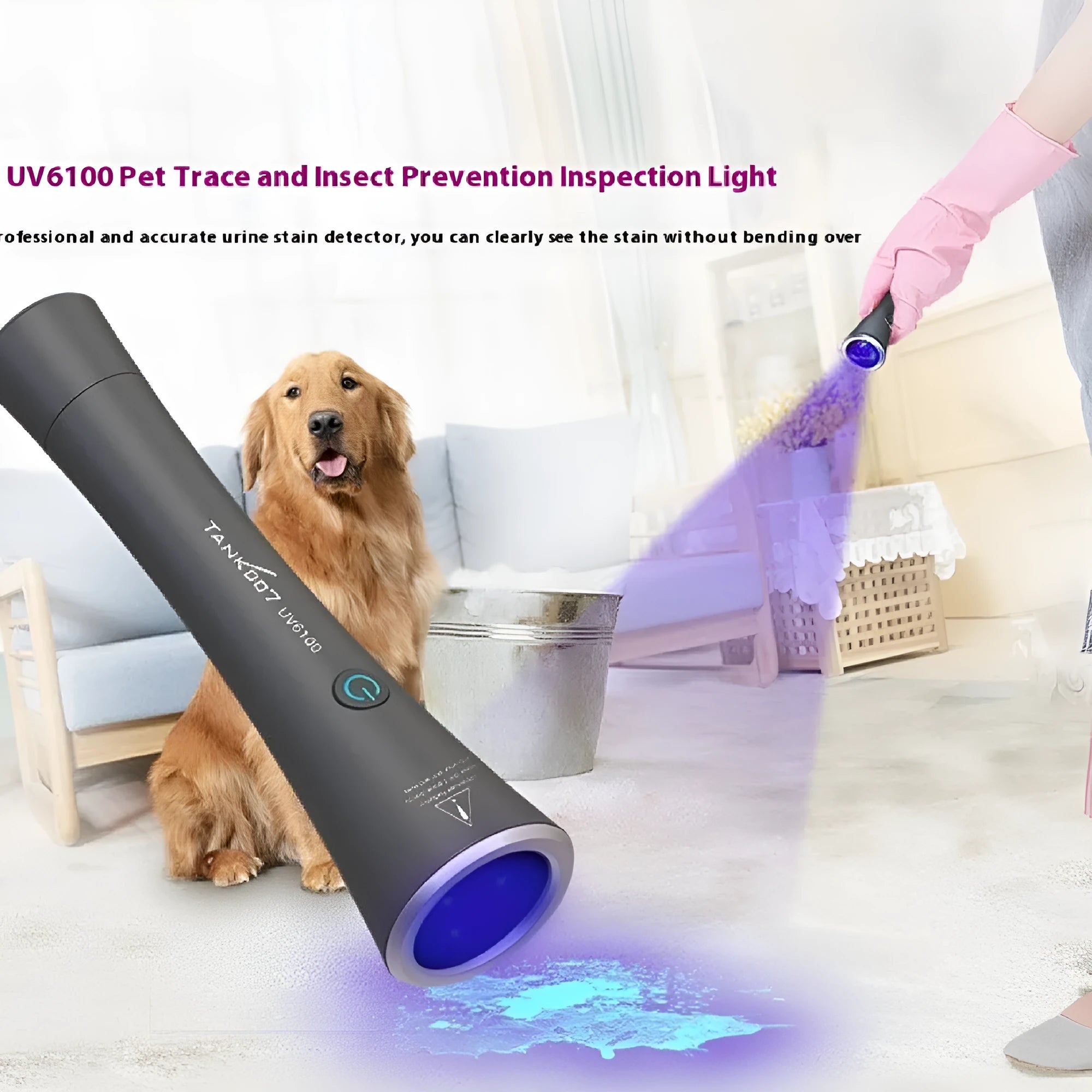 Aluminium UV flashlight for detecting pet urine stains and insect residues with USB-C charging port