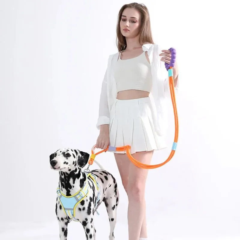 Nylon dog traction leash with foam handle in four colour options showing 140cm length