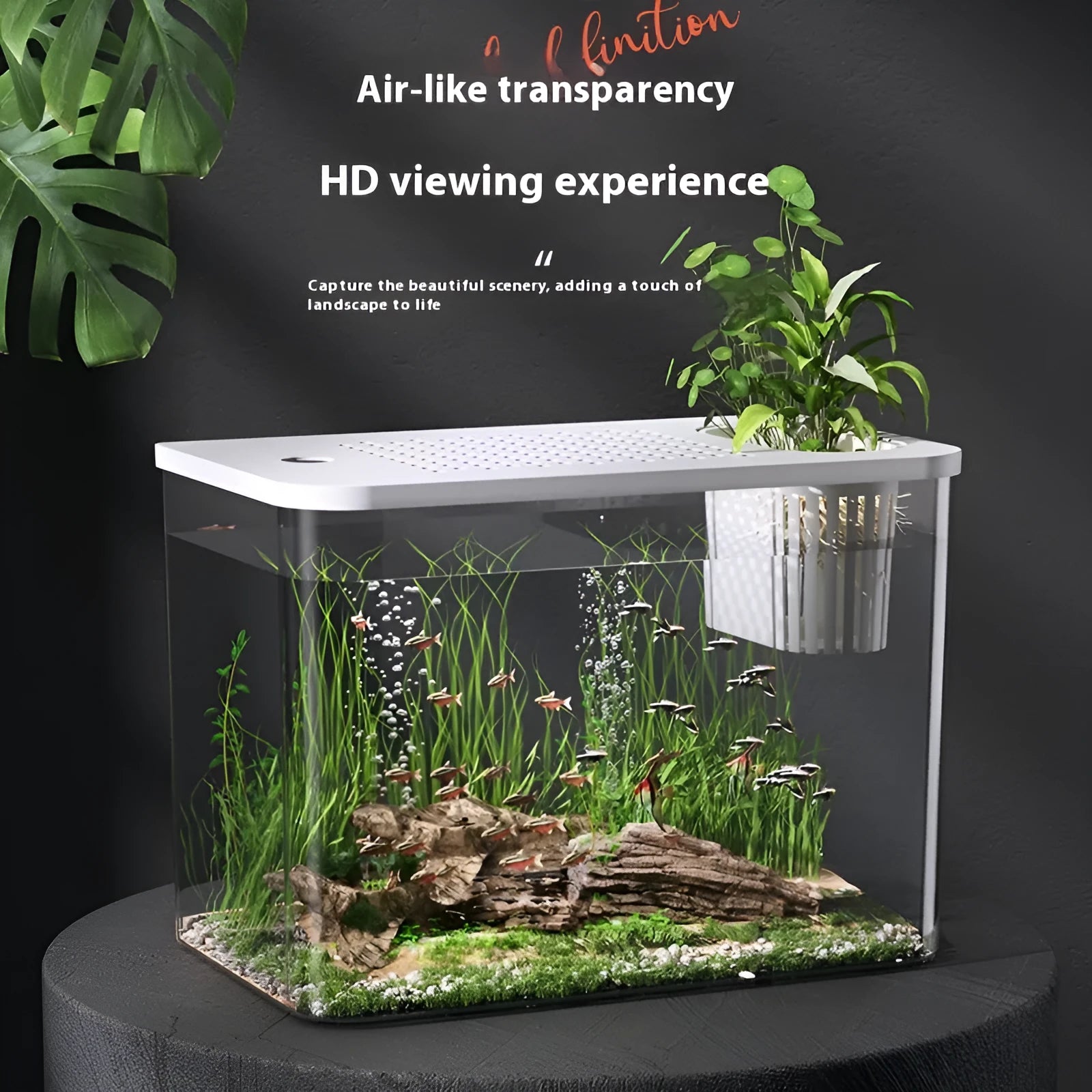 Medium black ecological betta fish tank with cover on a desk.