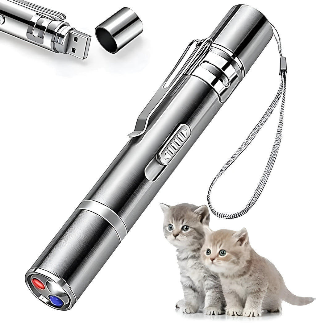 Silver aluminium alloy cat laser pointer toy with USB charging port and pattern selection