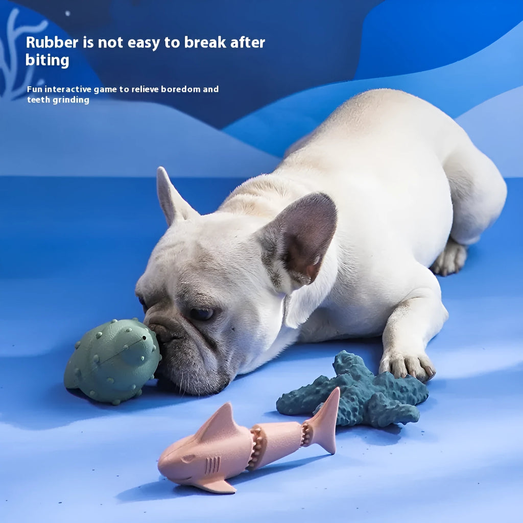Blue and green deep sea shark, conch, and starfish-shaped rubber dog toys for food leakage and interactive play.