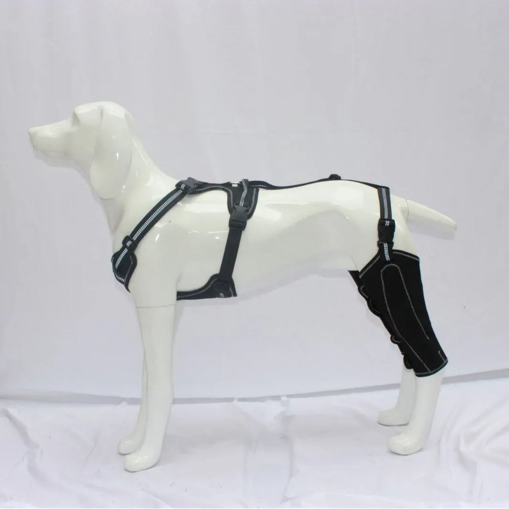 Black polyester dog thigh protective sleeve with adjustable metal support on canine leg