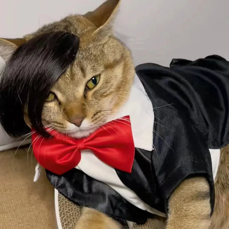 Black imitation braid cat wig made from polyester for pet dress up