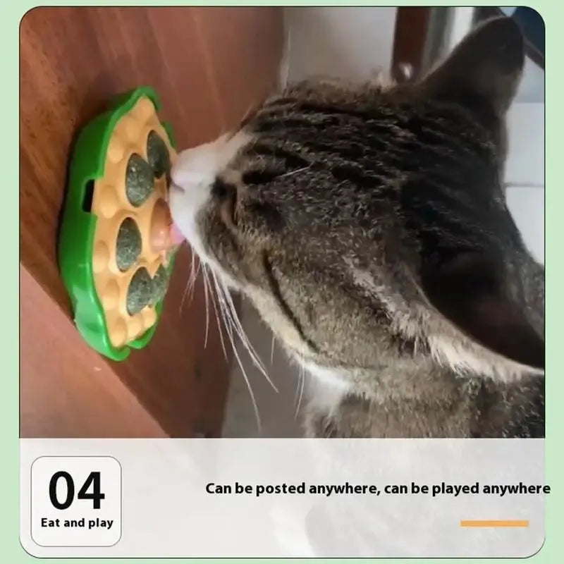 Green lotus-shaped catnip ball with stick-on wall backing for indoor cats