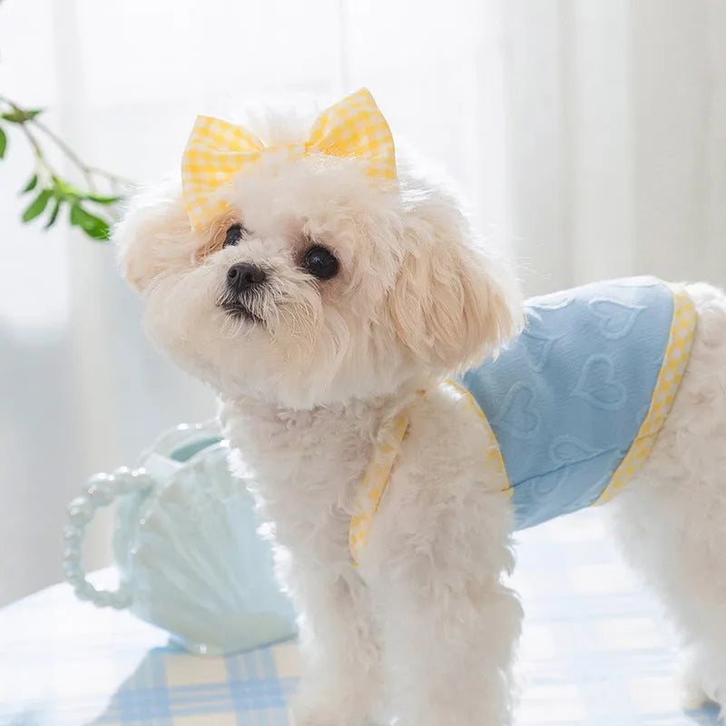 Small dog wearing a blue elastic suspenders vest with a heart-texture bow.