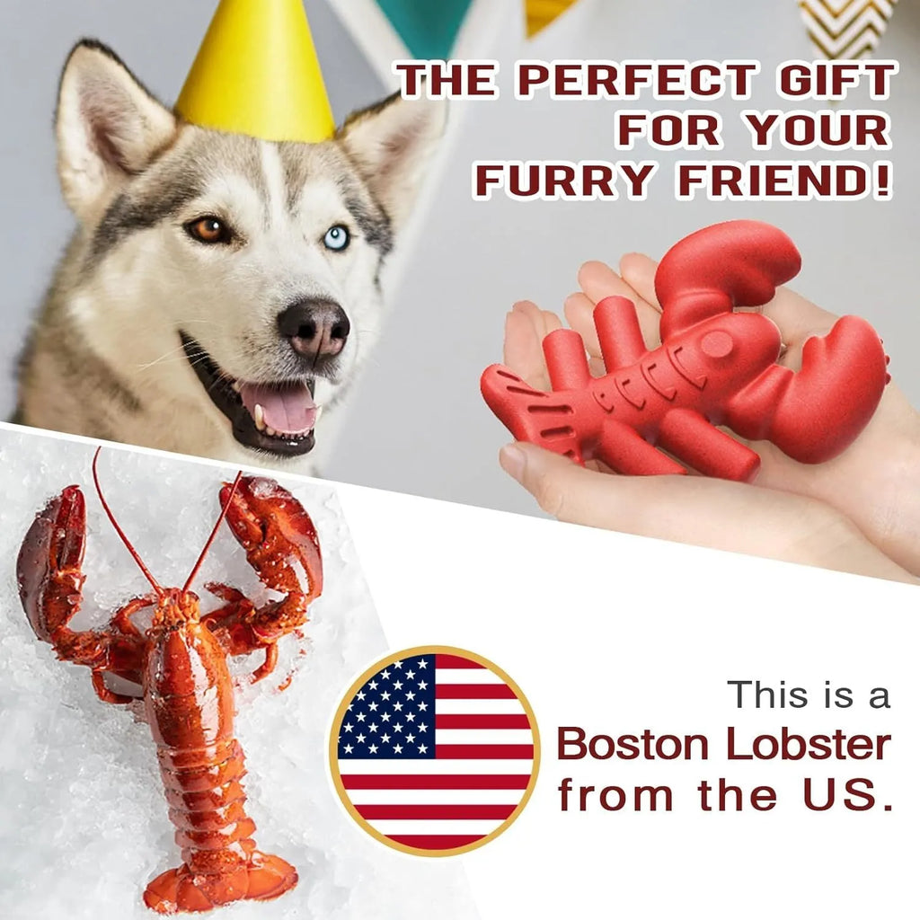 Red Nylabone dog chew toy for aggressive chewers measuring 170mm long